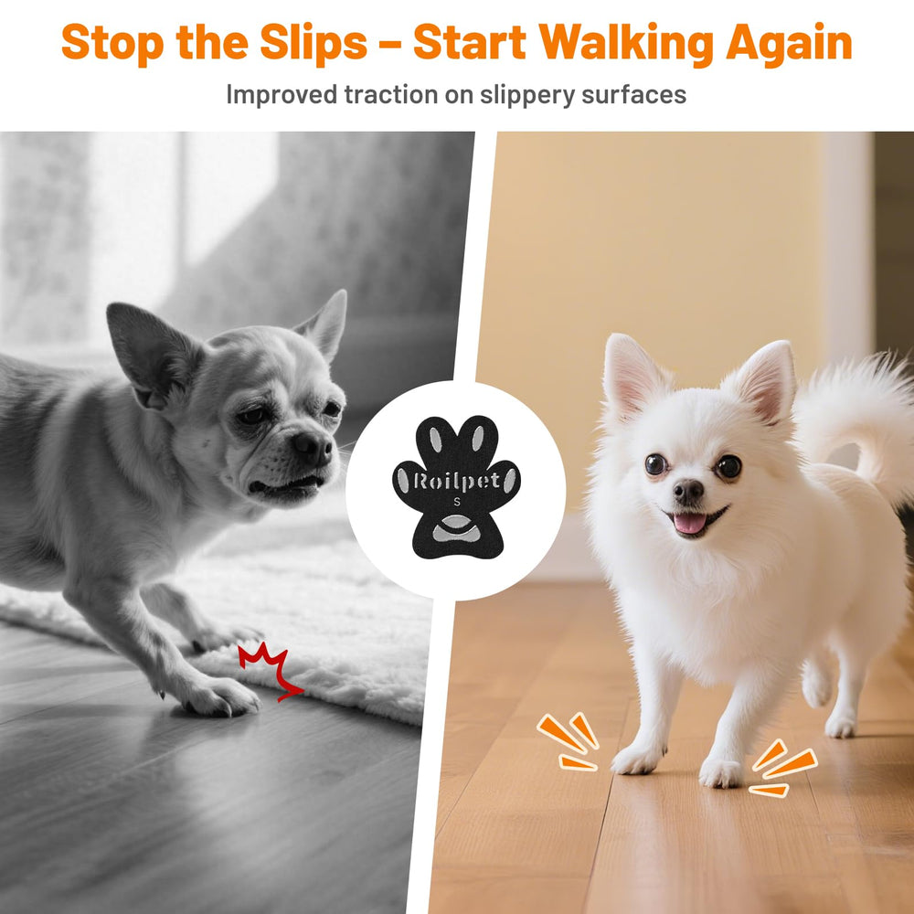 Roilpet application sur patte montrant pose simple et sûre
