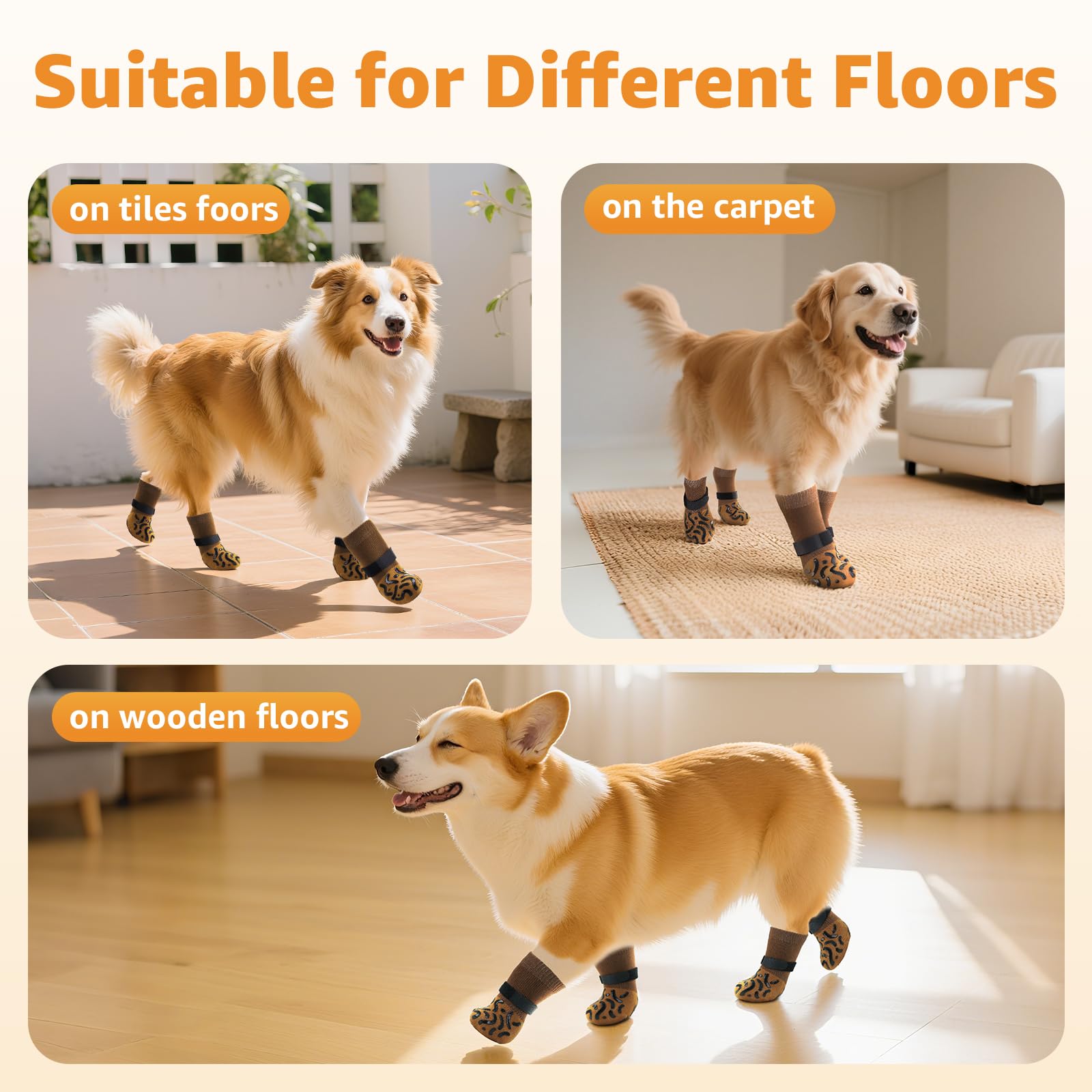 Roilpet comparaison taille montrant dimensions pour choisir