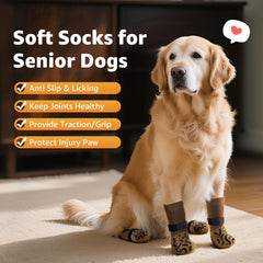 Roilpet chaussettes portées par chien améliorant stabilité sur parquet