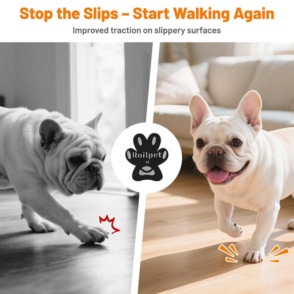Roilpet pad posé sur patte de chien apportant stabilité immédiate