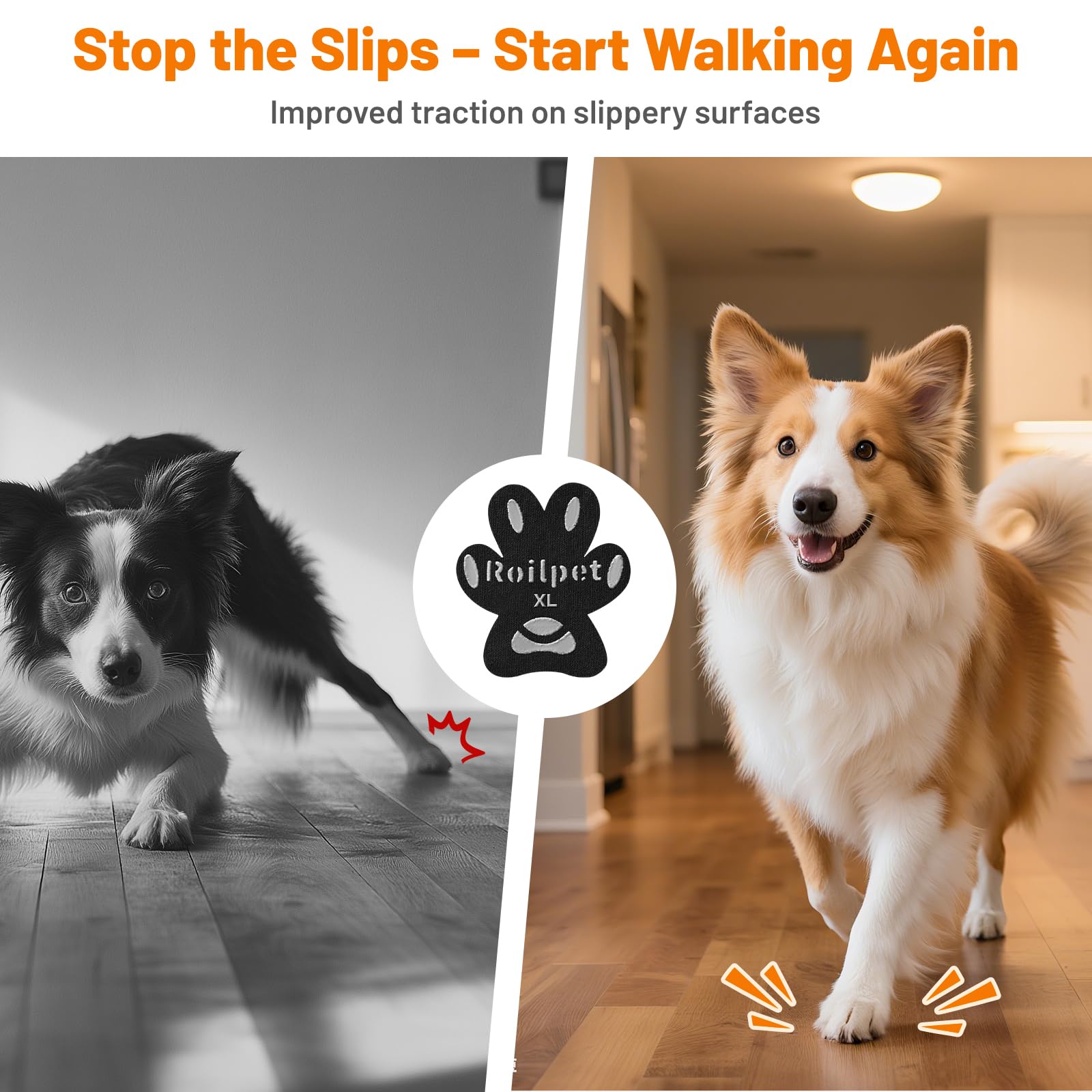 Roilpet sur pattes en usage démontrant stabilité sur parquet