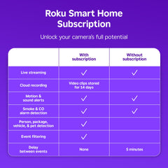 Roku caméra en action sur TV montrant flux en direct et contrôle facile