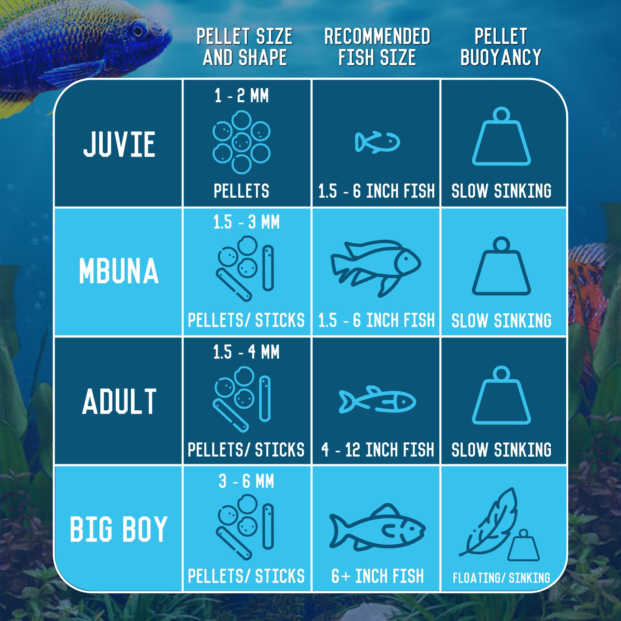 RON'S CICHLIDS gros plan sur granulés montrant texture et richesse protéique