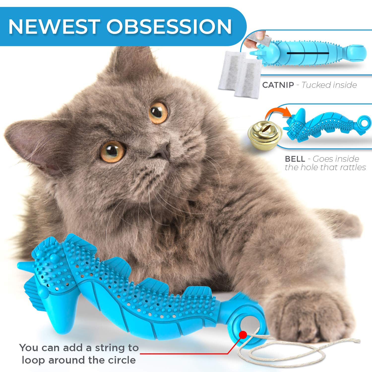 Ronton hippocampe démonté montrant sachet de catnip remplaçable pratique