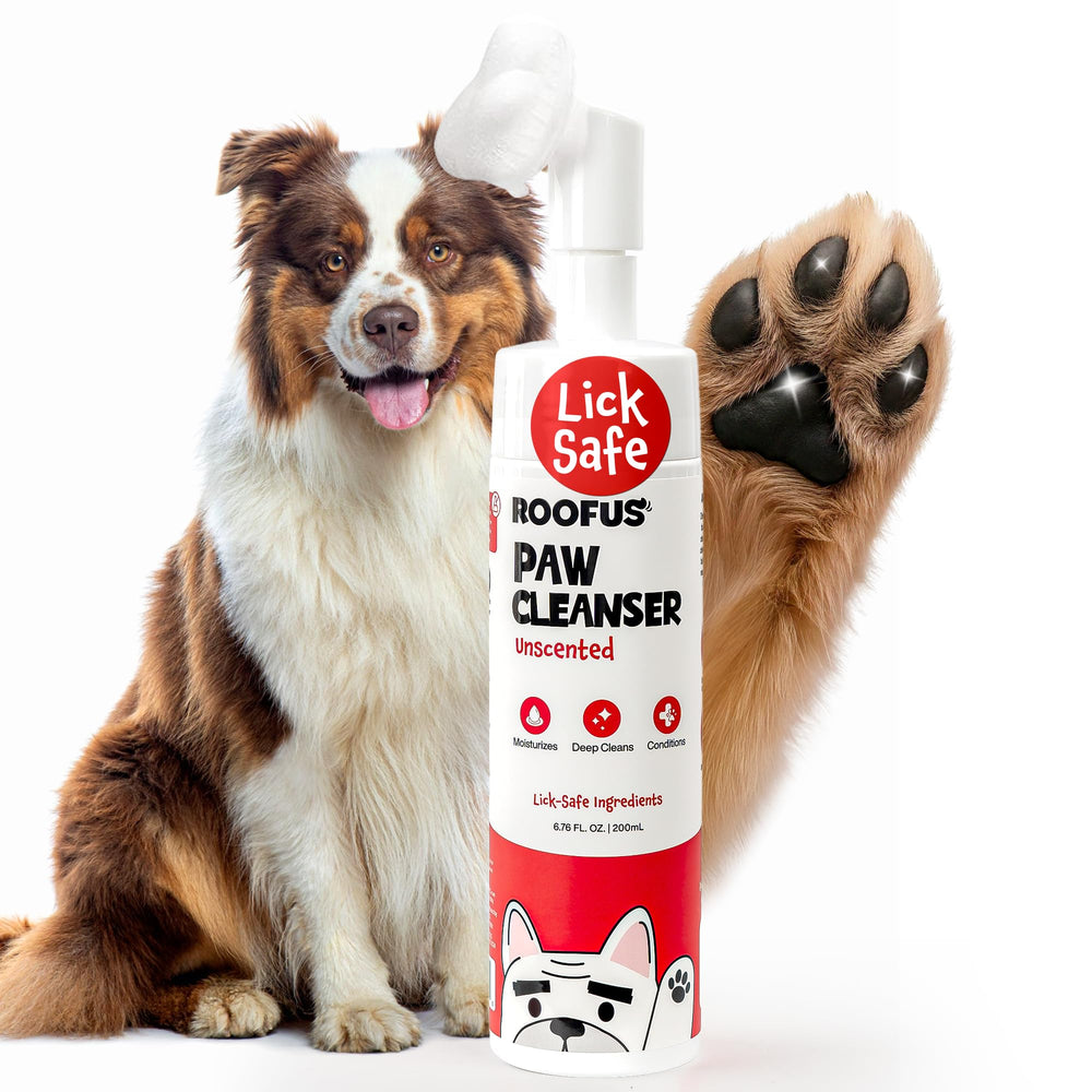 ROOFUS THE DOG emballage avant montrant format compact et praticité