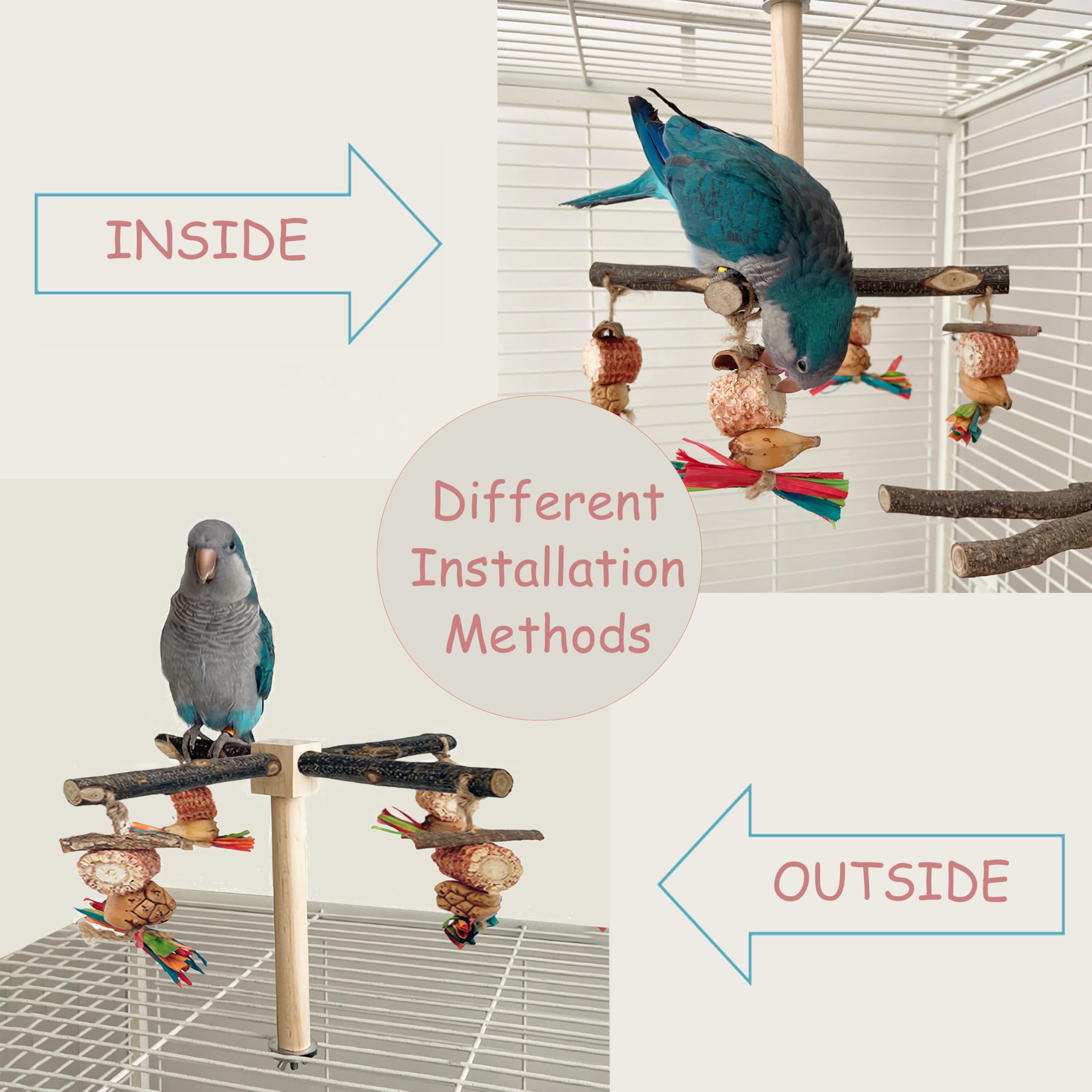 ROOJUNE perchoir avec oiseau en action favorise exercice et équilibre