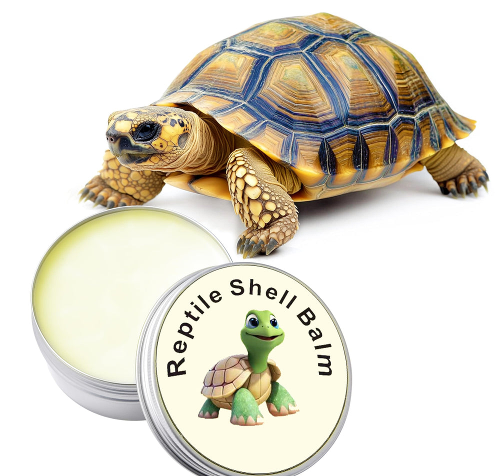 ropto pot posé à côté d'une tortue pour montrer dose et usage pratique