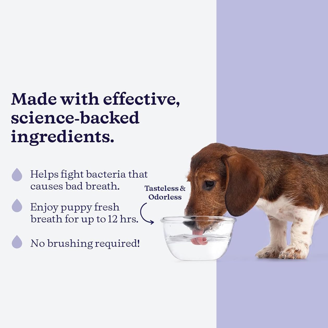 ROSEY'S PUPPY FRESH BREATH comparaison de taille pour dosage clair