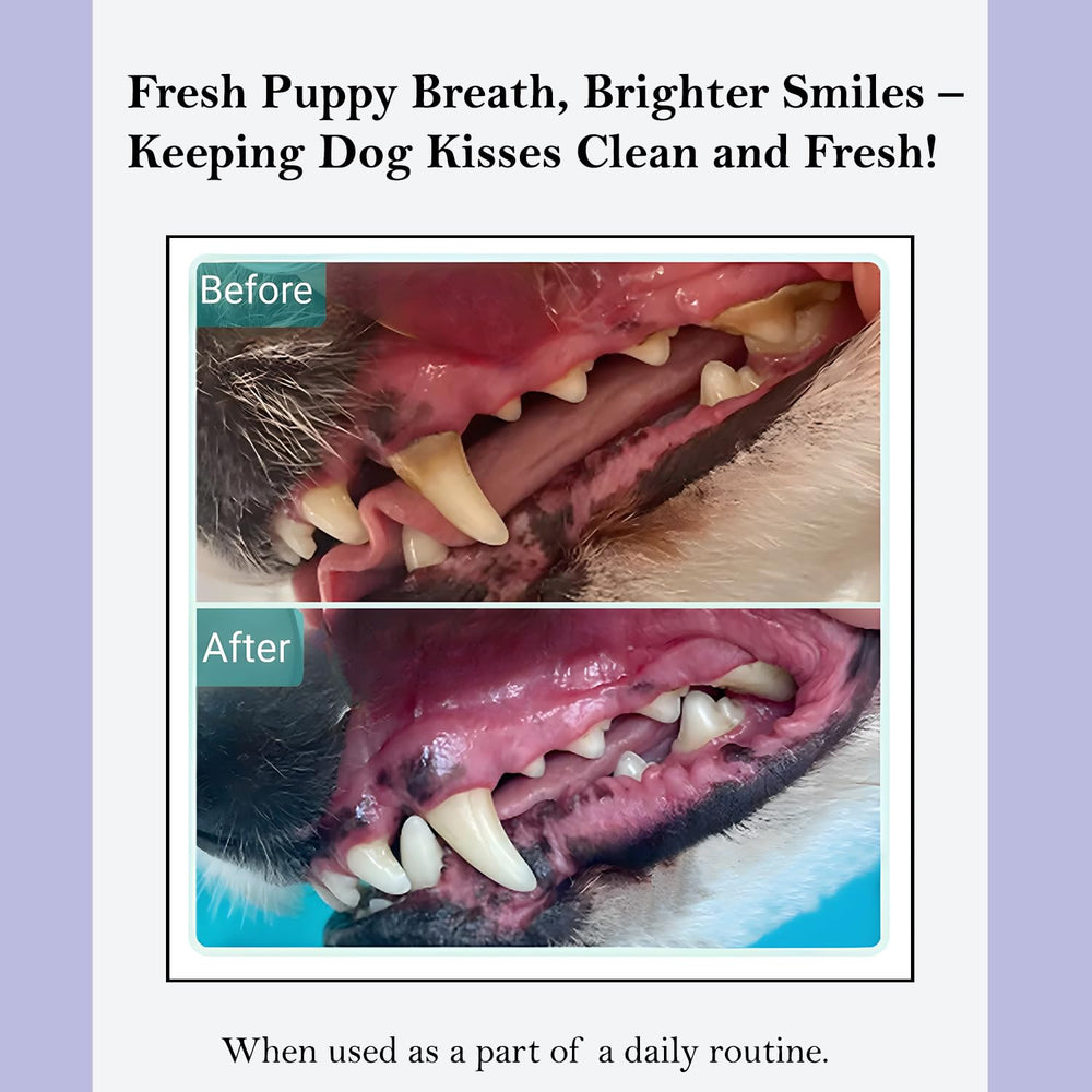 ROSEY'S PUPPY FRESH BREATH goutte dans l'eau montrant mélange facile