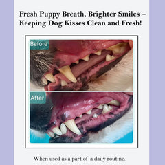 ROSEY'S PUPPY FRESH BREATH goutte dans l'eau montrant mélange facile