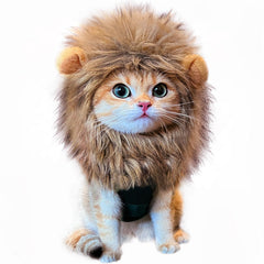 RosyLife perruque crinière vue de face pour look lion convivial