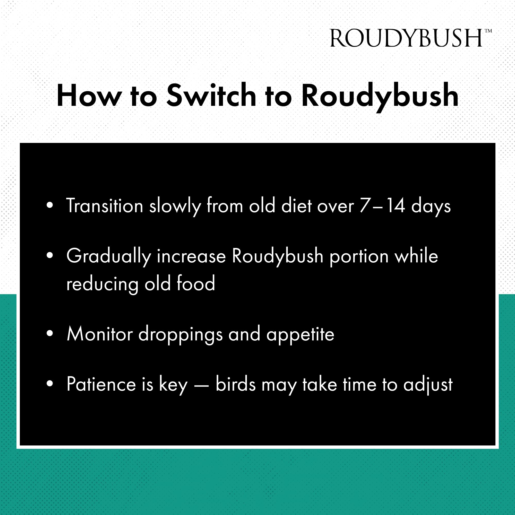 RoudyBush mangeoire dans jardin avec oiseaux soulignant plaisir d’observation