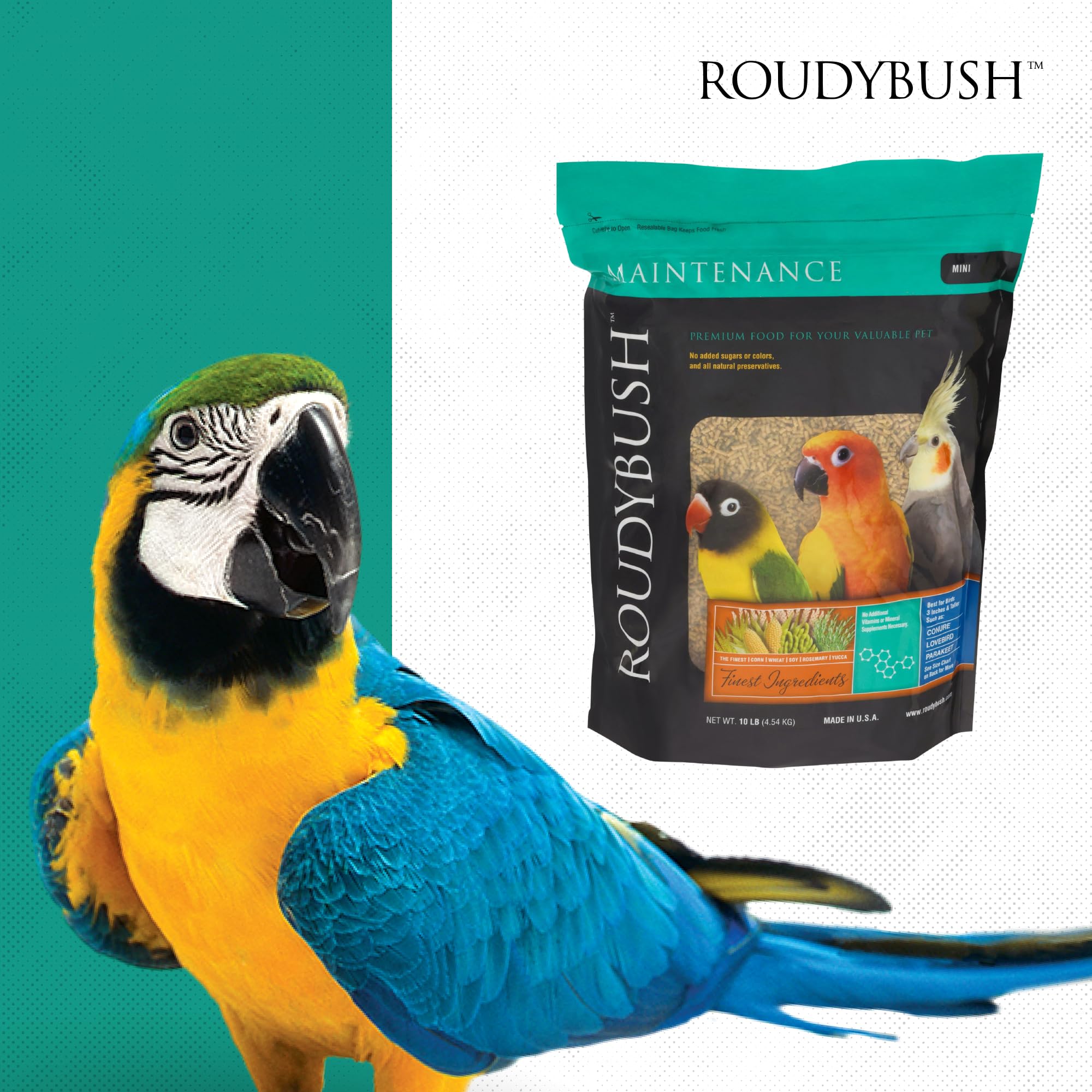 RoudyBush conservation en bocal montrant stockage sec et longue durée