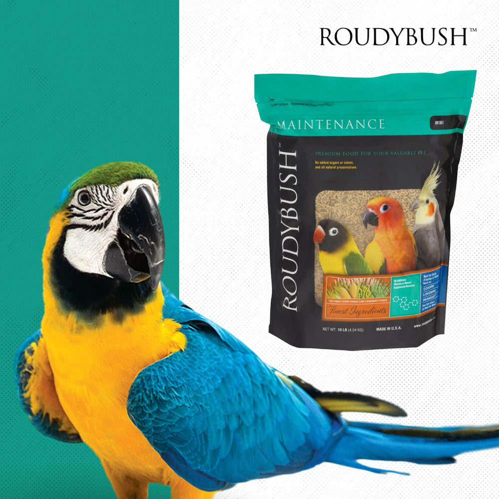 RoudyBush conservation en bocal montrant stockage sec et longue durée