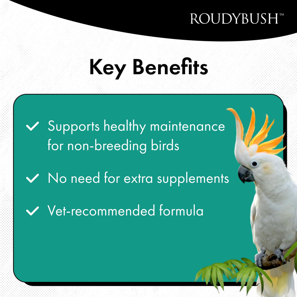 RoudyBush granulés servis dans une coupe pour alimentation quotidienne simple