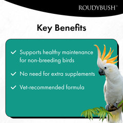 RoudyBush granulés servis dans une coupe pour alimentation quotidienne simple