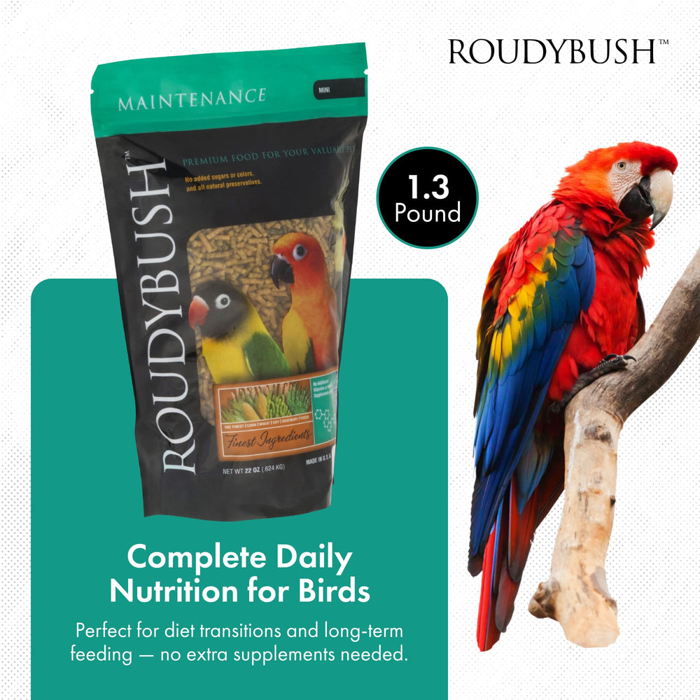RoudyBush granulés gros plan révélant la texture bénéfique pour mastication