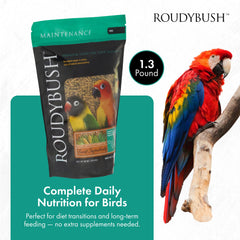 RoudyBush granulés gros plan révélant la texture bénéfique pour mastication