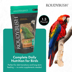 RoudyBush gros plan sur granulés illustrant texture uniforme et qualité