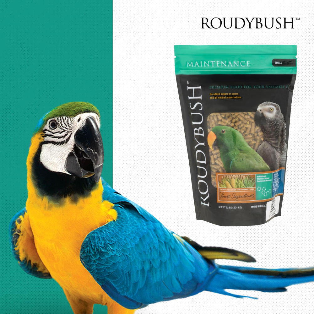 RoudyBush mise en scène cage avec aliment illustrant intégration au quotidien