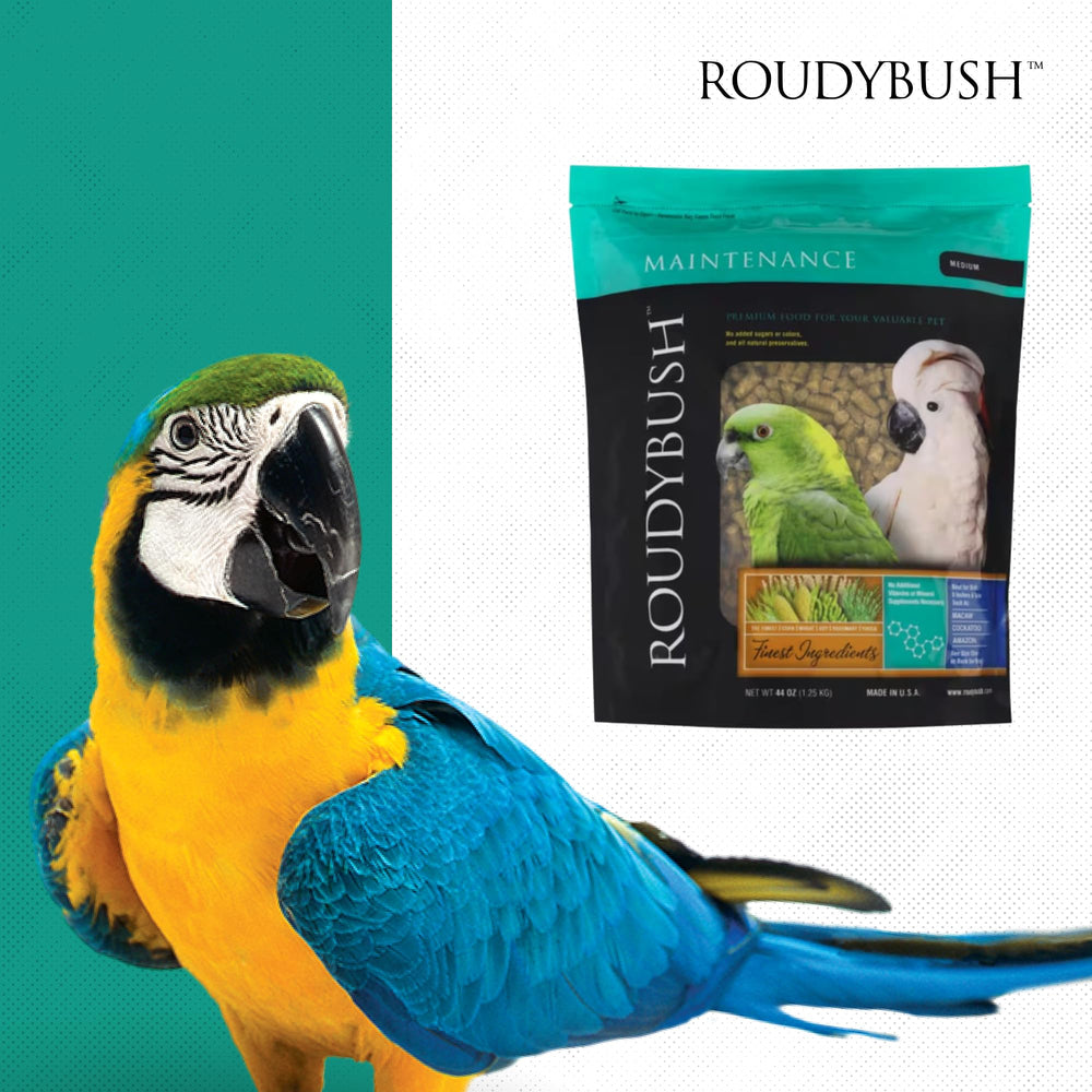 RoudyBush mise en scène jardin oiseaux favorisant consommation quotidienne