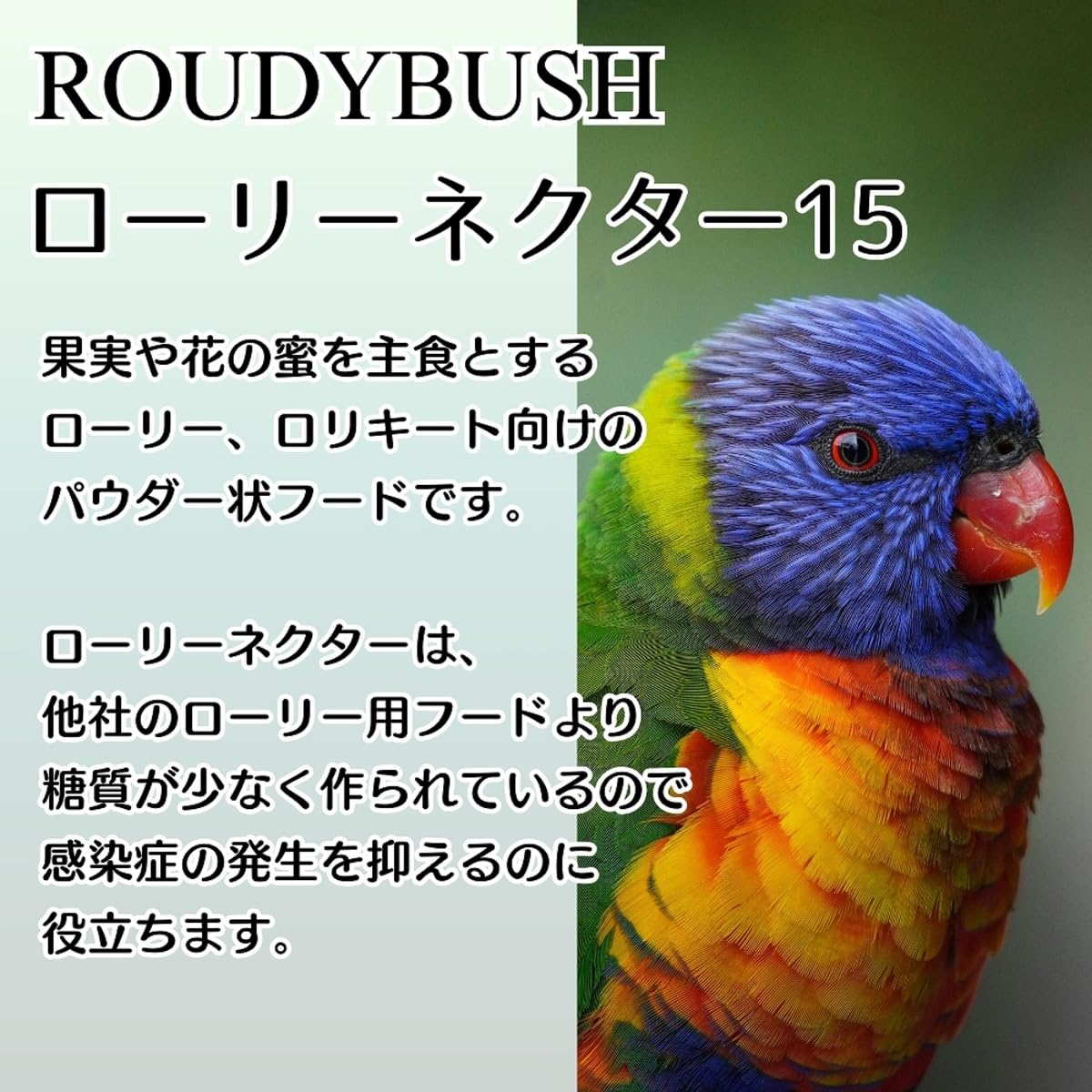 Gros plan poudre RoudyBush Lory Nectar 15 montrant texture fine, préparation simple