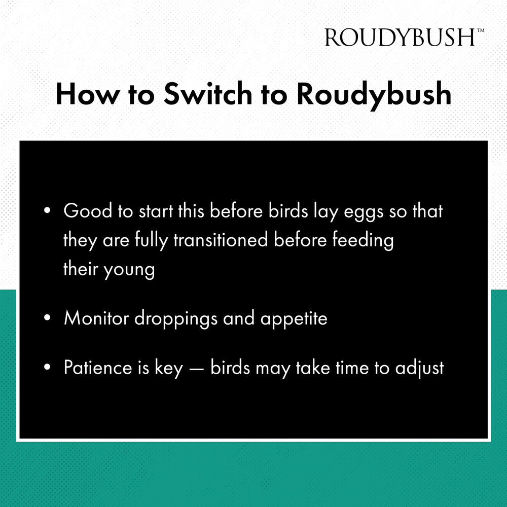 RoudyBush paquet ouvert et contenant hermétique prolongeant fraîcheur