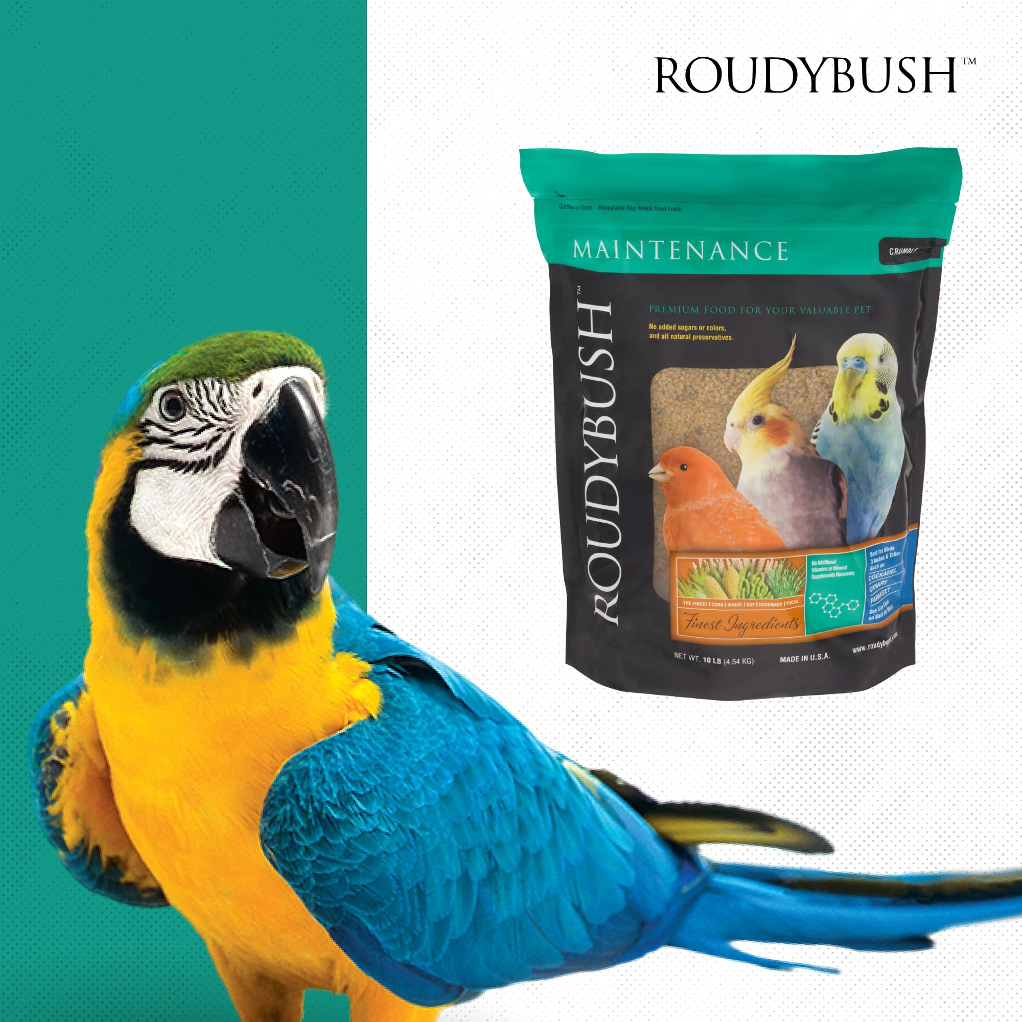 RoudyBush perroquet en milieu domestique montrant alimentation équilibrée