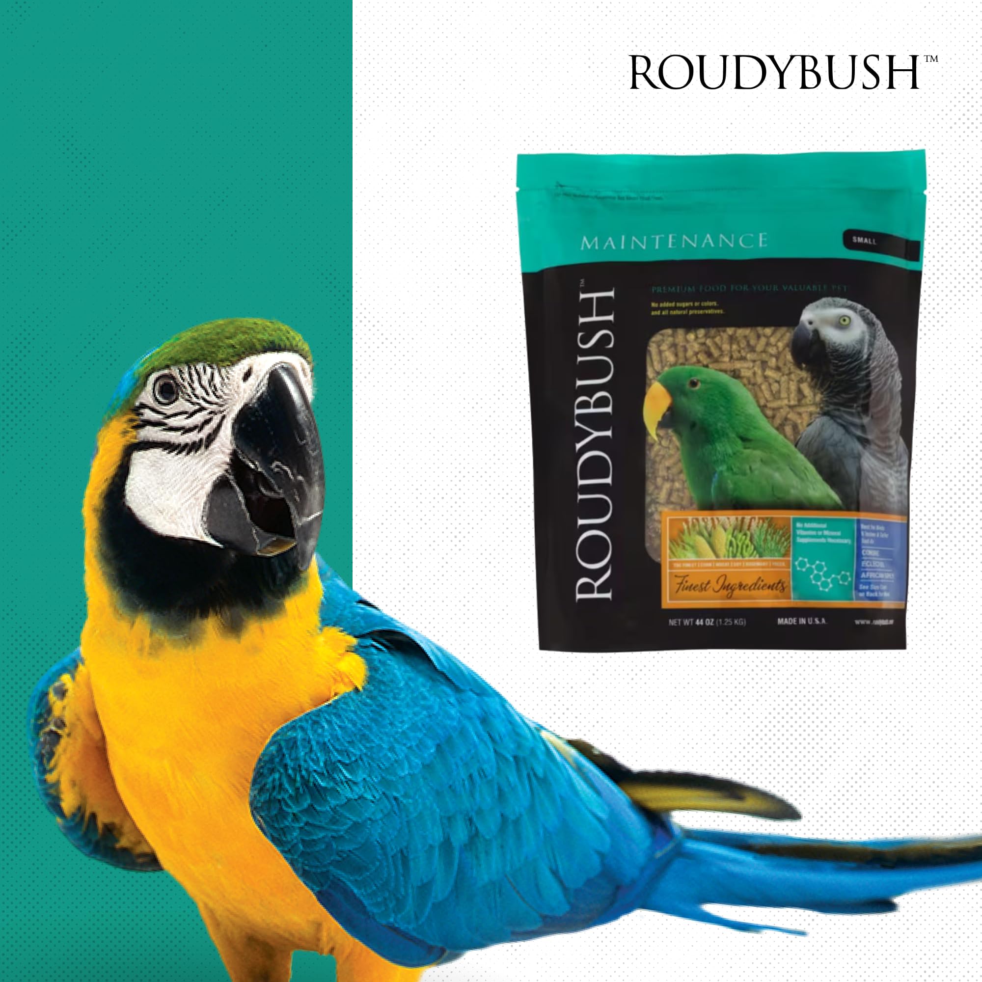 RoudyBush scène de jardin avec mangeoire et oiseaux attirés par granulés