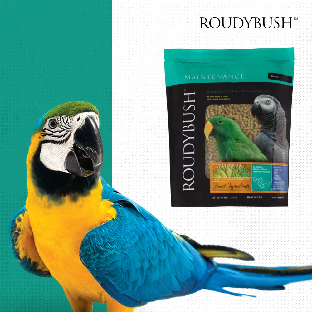 RoudyBush scène de jardin avec mangeoire et oiseaux attirés par granulés