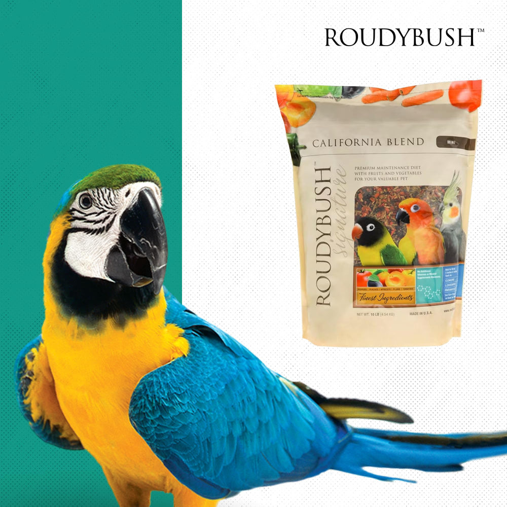 RoudyBush scène lifestyle oiseau heureux au bol pour alimentation équilibrée