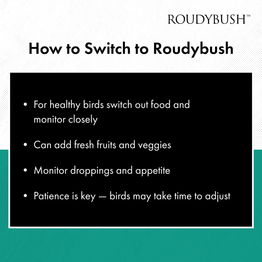 RoudyBush volière avec nourriture montrant propreté et réduction déchets
