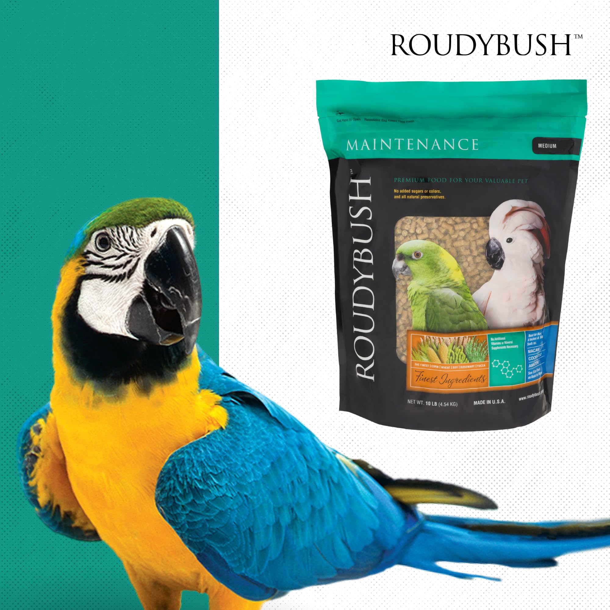 Roudybush scène d'oiseau mangeant pour une routine quotidienne saine