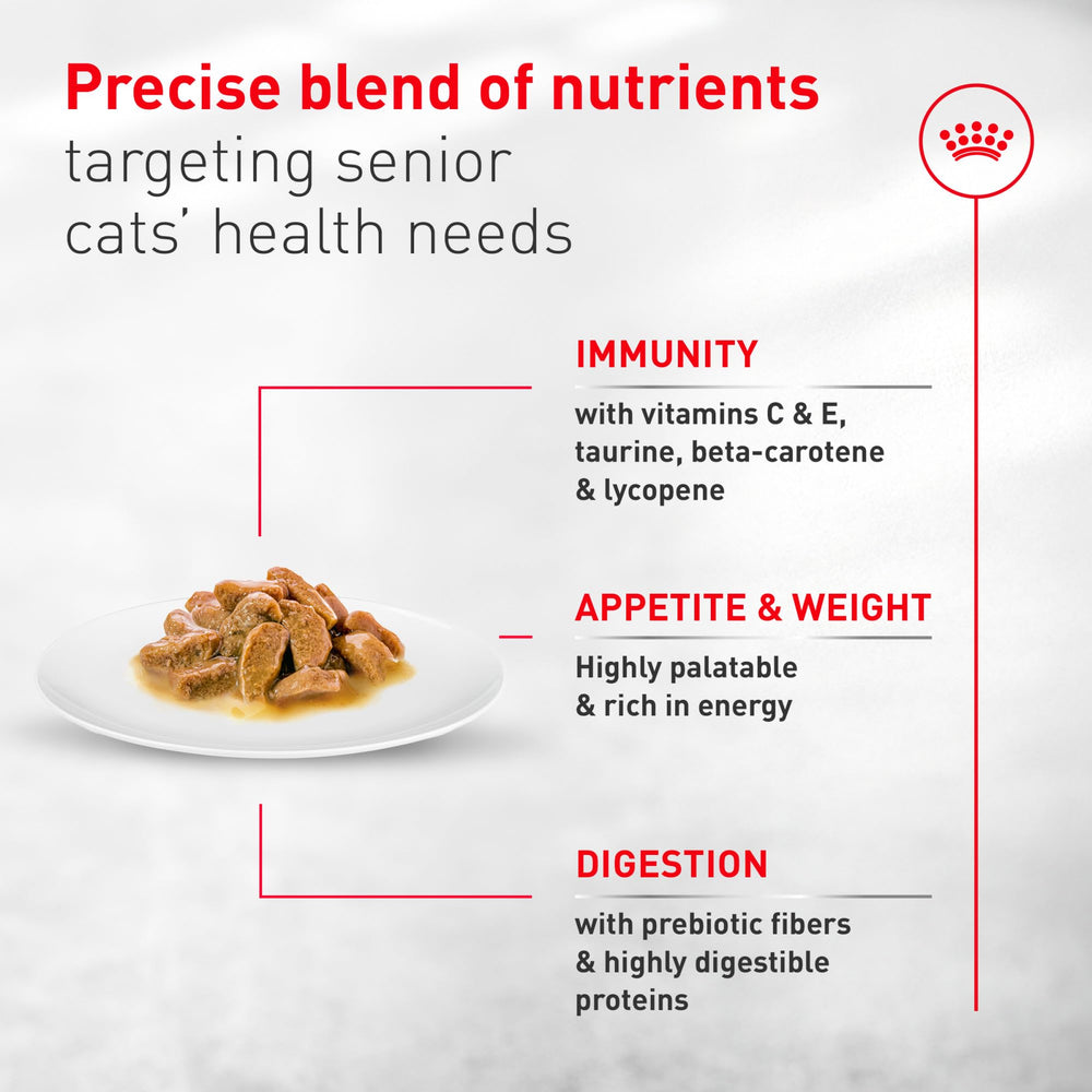 ROYAL CANIN gros plan sur la texture en sauce, appétence et facilité de mastication