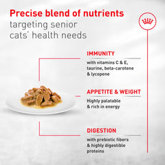 ROYAL CANIN gros plan sur la texture en sauce, appétence et facilité de mastication