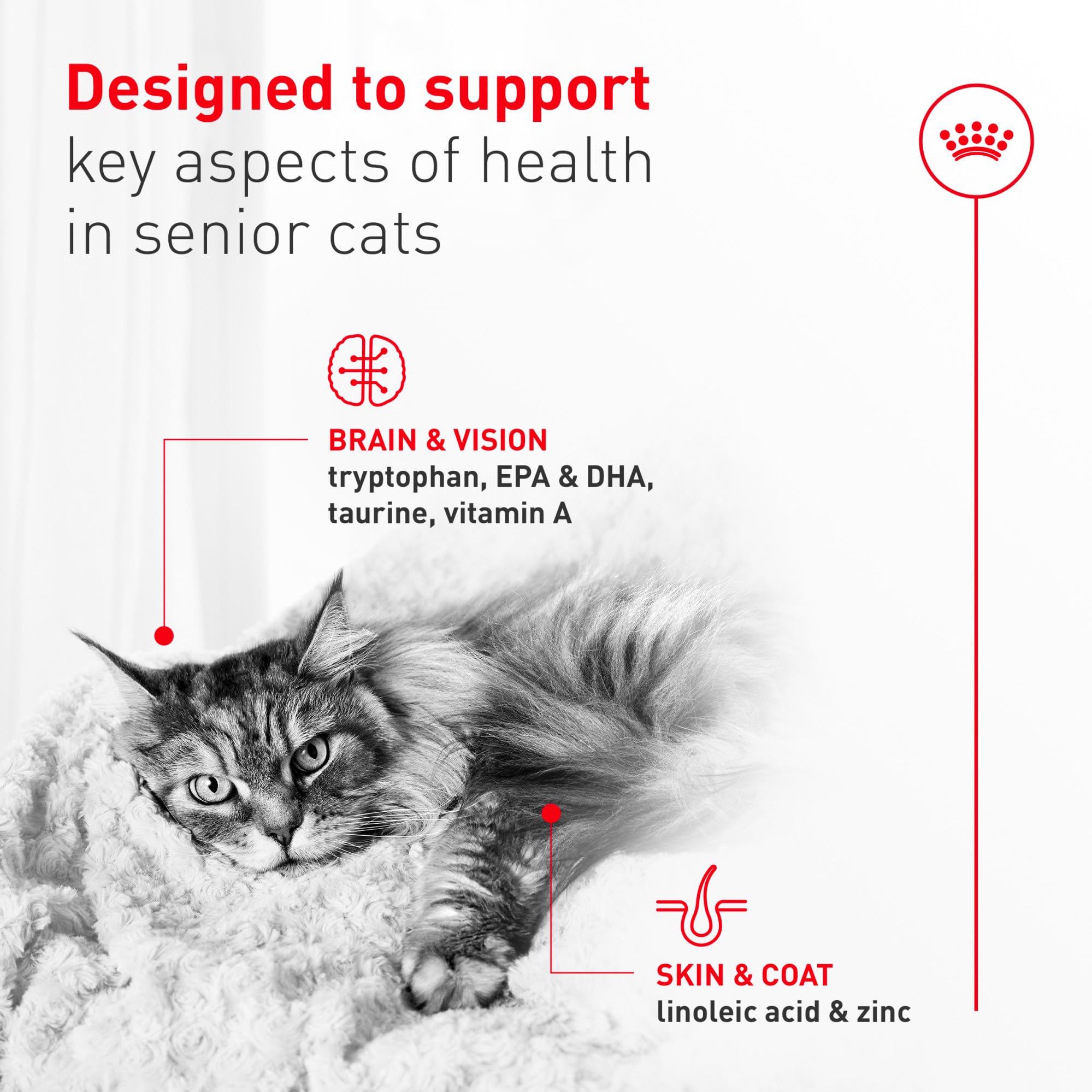 ROYAL CANIN étiquette et ingrédients, lisibilité et transparence nutritionnelle