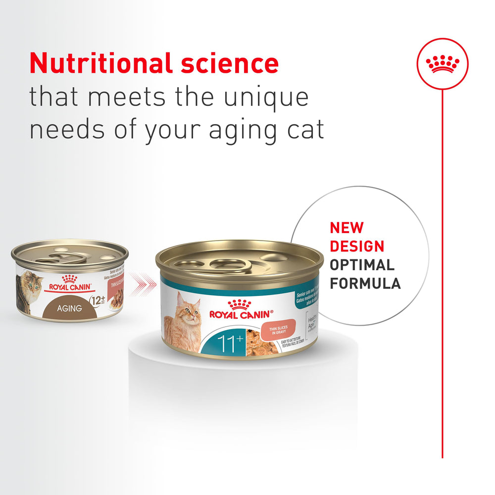 ROYAL CANIN pâtée versée dans une assiette pour stimuler l'appétit du chat