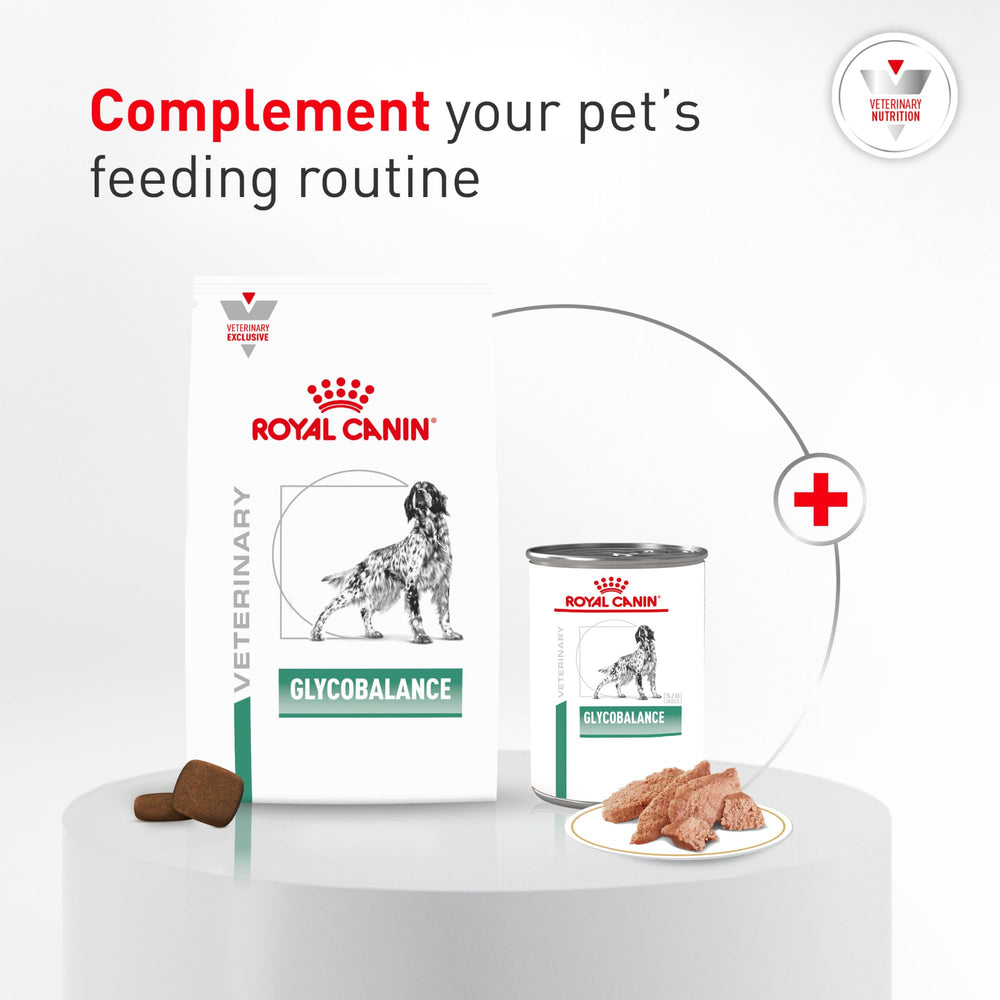 ROYAL CANIN bol mélange humide et sec pour encourager l'appétence