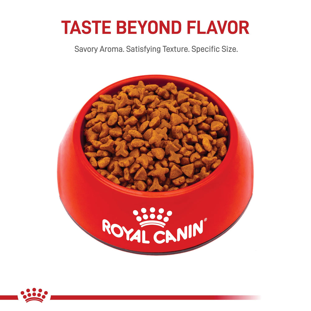 ROYAL CANIN ambiance cuisine sac posé près gamelle pour usage quotidien