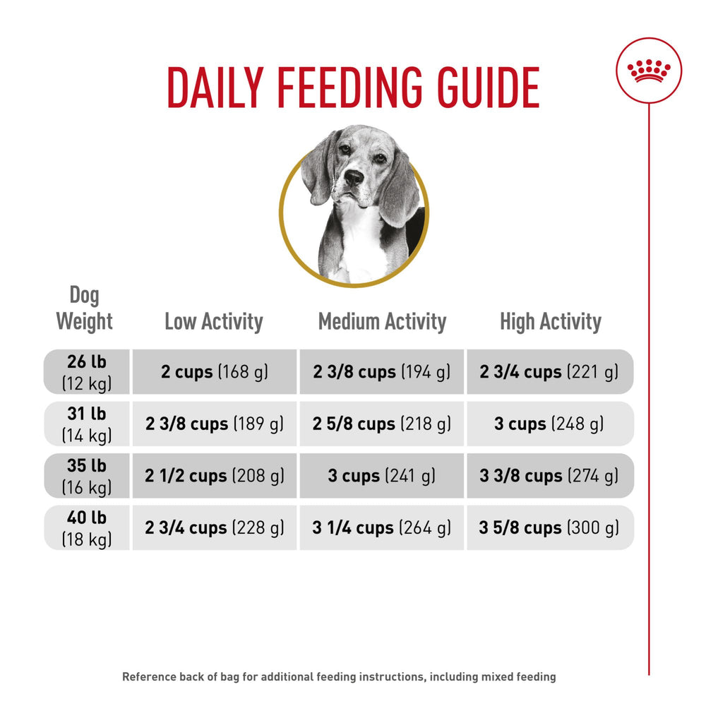 ROYAL CANIN ingrédients proches montrant qualité et sources sélectionnées