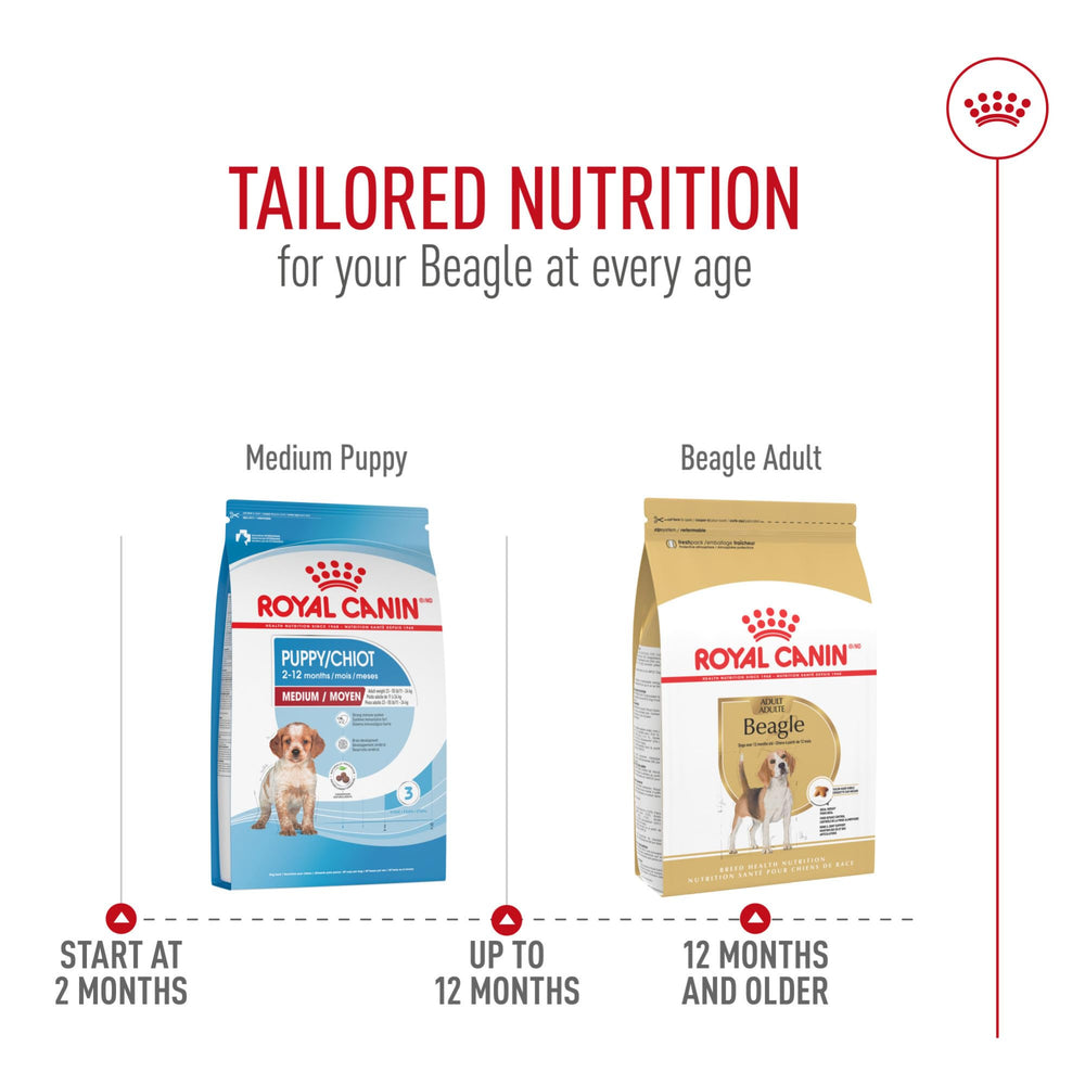 ROYAL CANIN croquettes dans une main montrant taille du kibble pratique