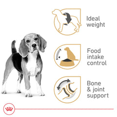 ROYAL CANIN étiquette lisible listant nutriments ciblés pour Beagle