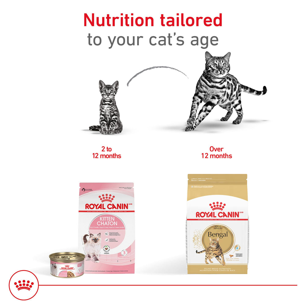 ROYAL CANIN bol mesuré avec portion recommandée pour contrôle poids