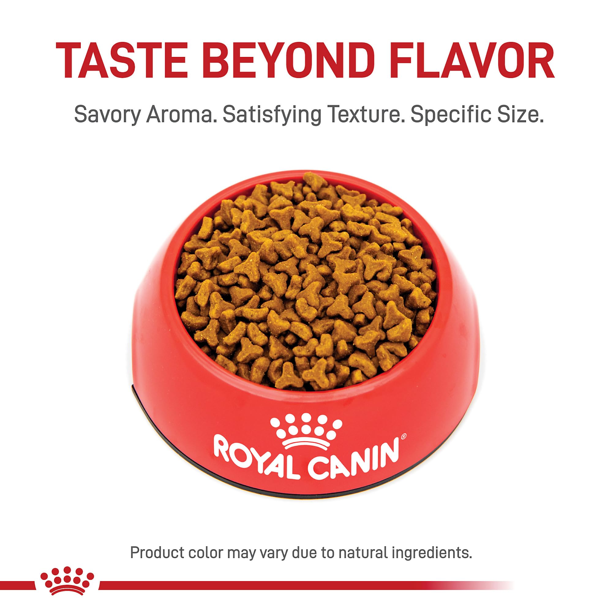 ROYAL CANIN gros plan sur croquettes digestibles pour meilleure absorption