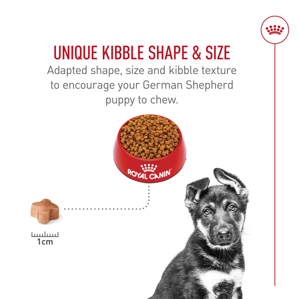 Royal Canin comparaison taille croquette démontrant forme spécifique pour mâchoire forte