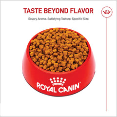 Royal Canin gros plan des croquettes adaptée à la mâchoire pour mastication efficace