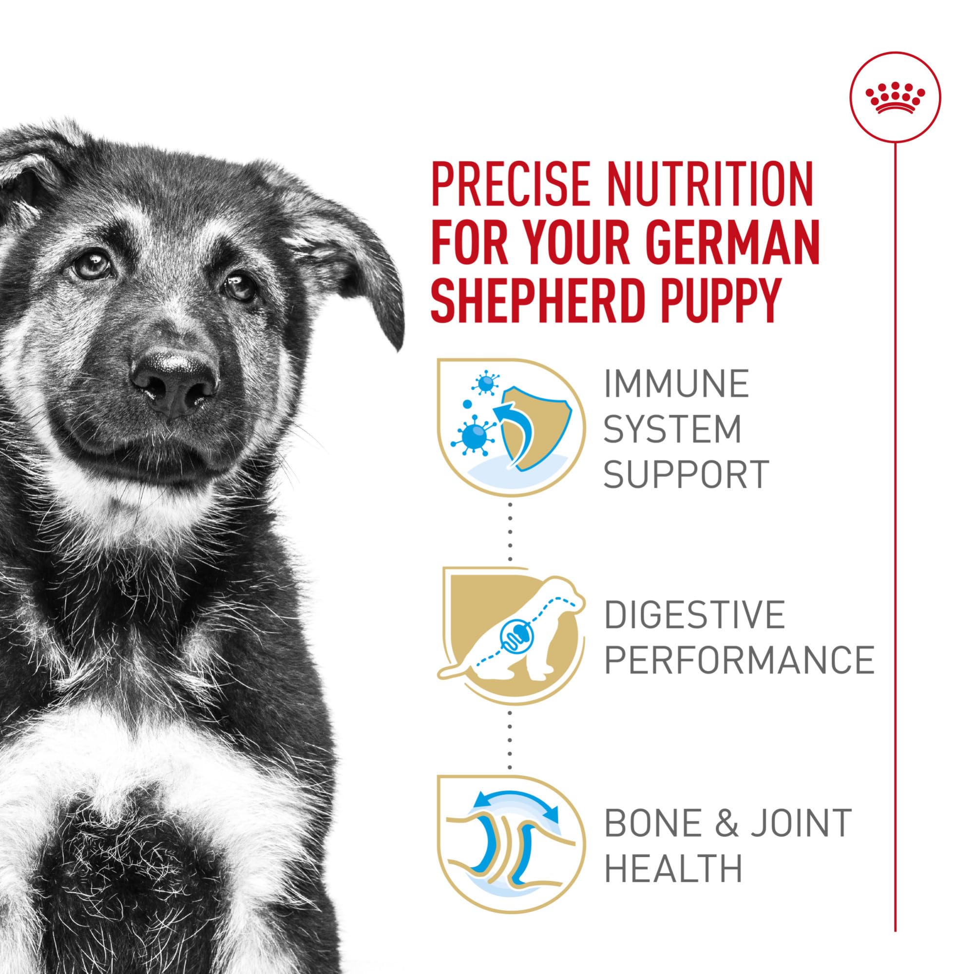 Royal Canin chiot nourri à la gamelle illustrant facilité d'alimentation et enthousiasme