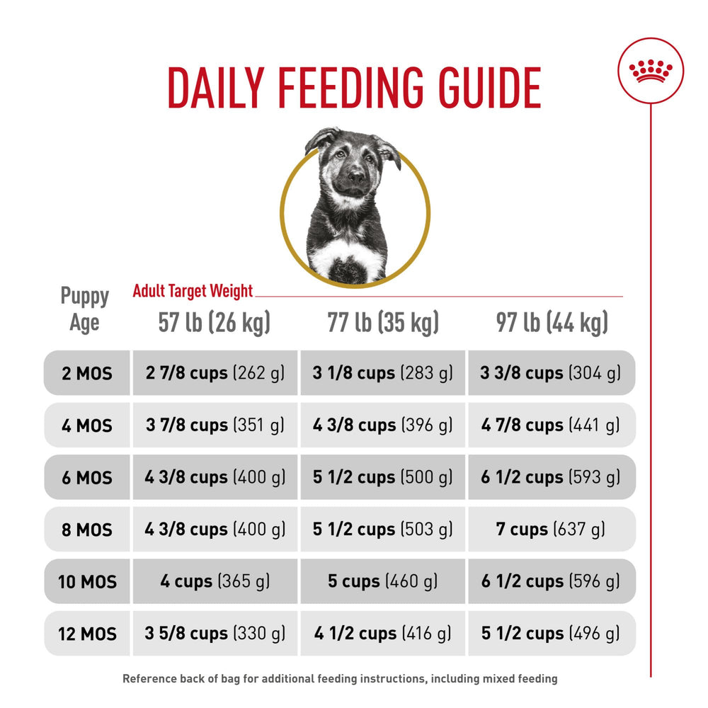 Royal Canin zoom sur bénéfices nutritionnels montrant soutien articulations et digestion