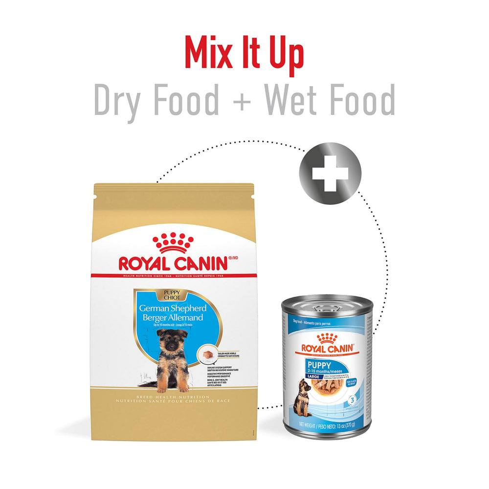 Royal Canin étiquette et ingrédients lisibles prouvant transparence et sécurité nutritionnelle