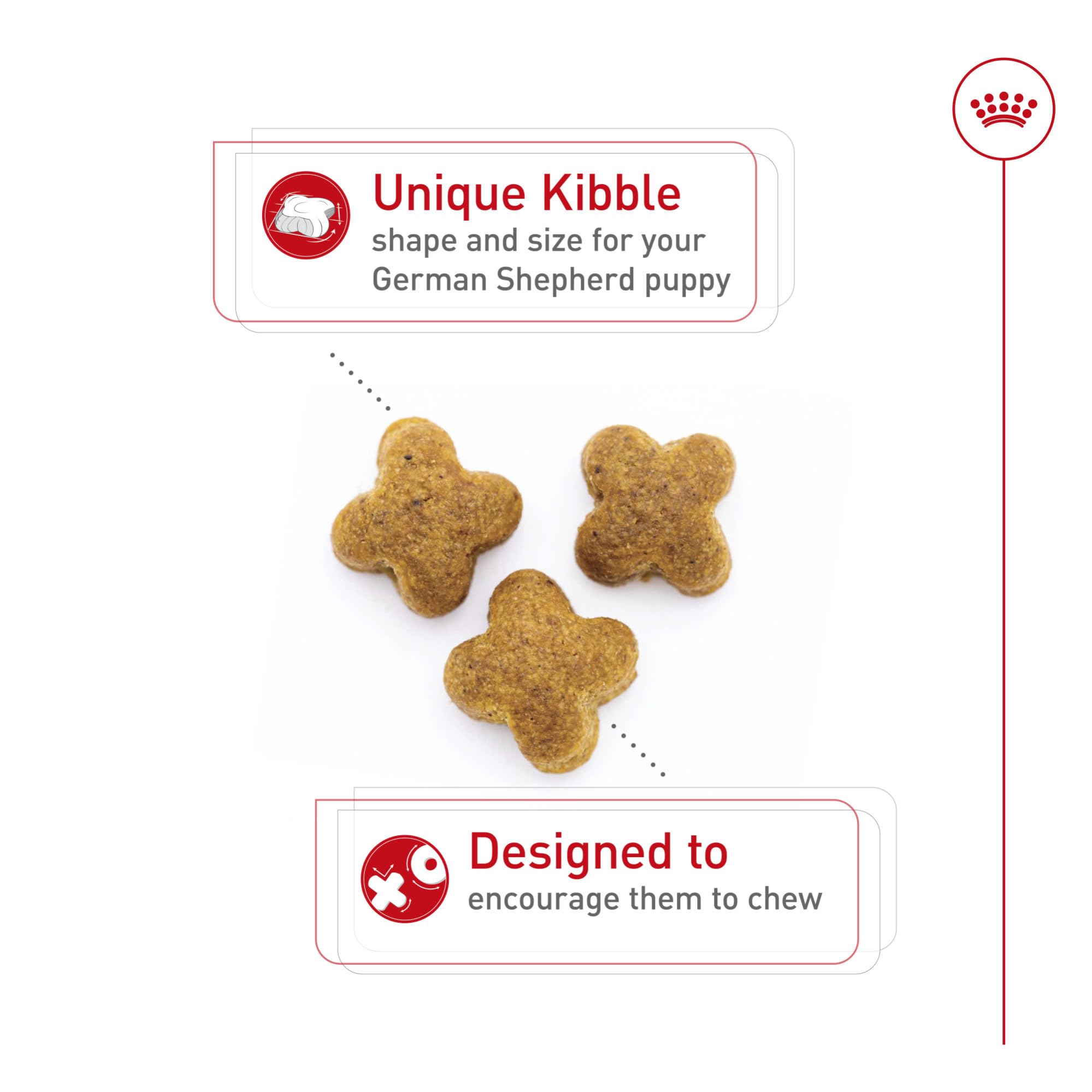 Royal Canin texture des croquettes tenue en main montrant densité et appétence